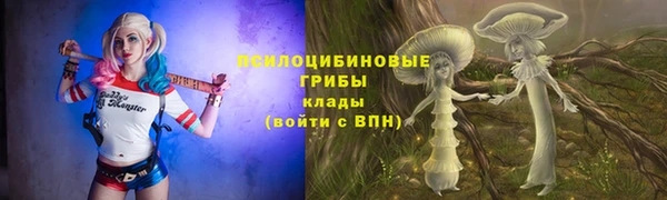 молекула духа Протвино
