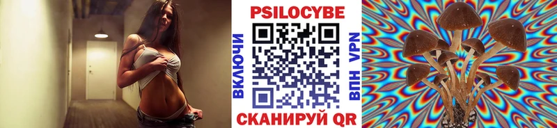 Галлюциногенные грибы Psilocybe  магазин    Лянтор 
